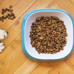 Dry Food