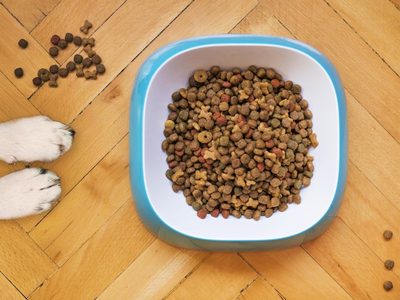 Pouched Wet Food Line