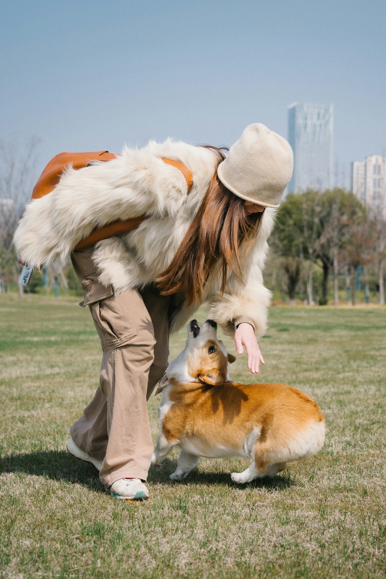 Premium Pet Nutrition Manufacturing Partner